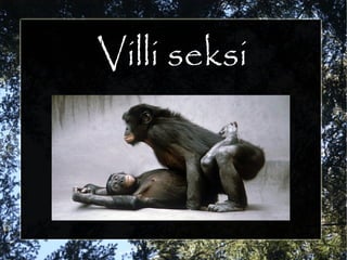 Villi seksi
 