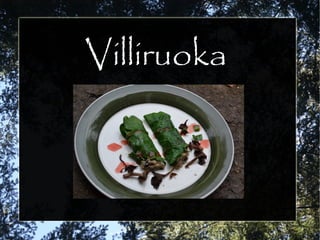 Villiruoka
 
