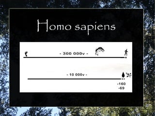 Homo sapiens
 