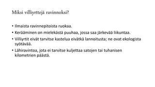 Miksi villiyrttejä ravinnoksi?
• Ilmaista ravinnepitoista ruokaa.
• Kerääminen on mielekästä puuhaa, jossa saa järkevää liikuntaa.
• Villiyrtit eivät tarvitse kastelua eivätkä lannoitusta; ne ovat ekologista
syötävää.
• Lähiravintoa, jota ei tarvitse kuljettaa satojen tai tuhanisen
kilometrien päästä.
 