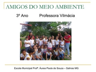 AMIGOS DO MEIO AMBIENTE
3º Ano Professora Vilmácia
Escola Municipal Profª. Áurea Paula de Souza – Salinas MG
 