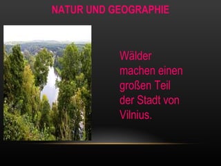 NATUR UND GEOGRAPHIE Wälder machen einen großen Teil der Stadt von Vilnius. 