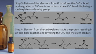 Step 3- Return of the electrons from O to reform the C=O 𝜋 bond
and migration of C-C electrons to form a new C-O bond displacing a
carboxylate as a leaving group.
Step 4- Electron from the carboxylate attacks the proton resulting in
an acid-base reaction and revealing the C=O and the ester product.
 