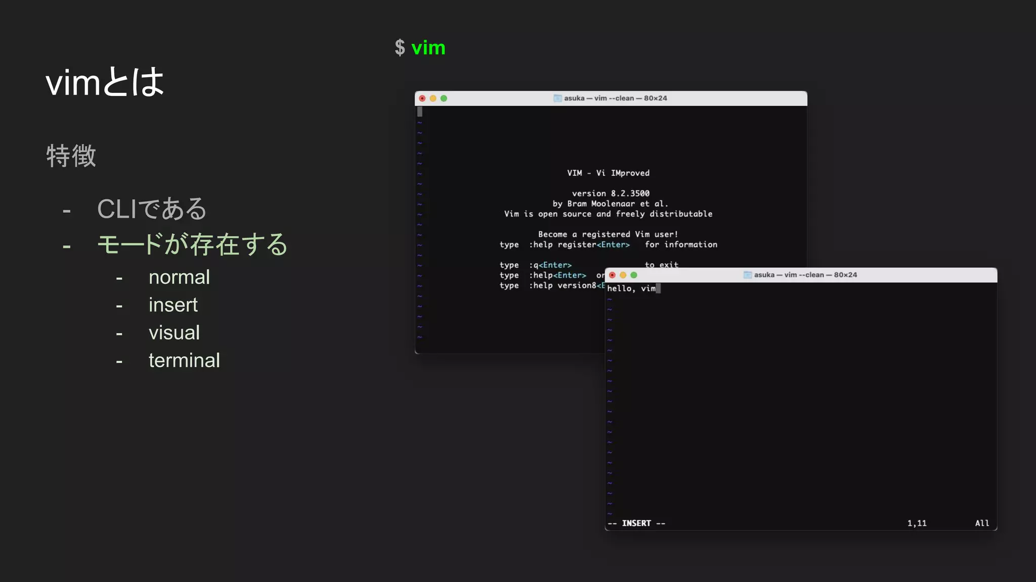 Vim-6-2048.jpg