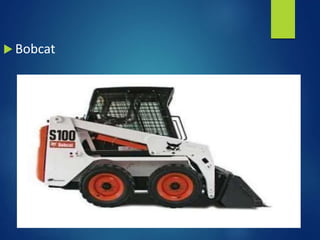  Bobcat
 