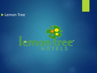  Lemon Tree
 