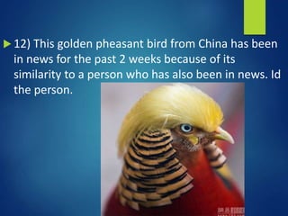  12) This golden pheasant bird from China has been
in news for the past 2 weeks because of its
similarity to a person who has also been in news. Id
the person.
 