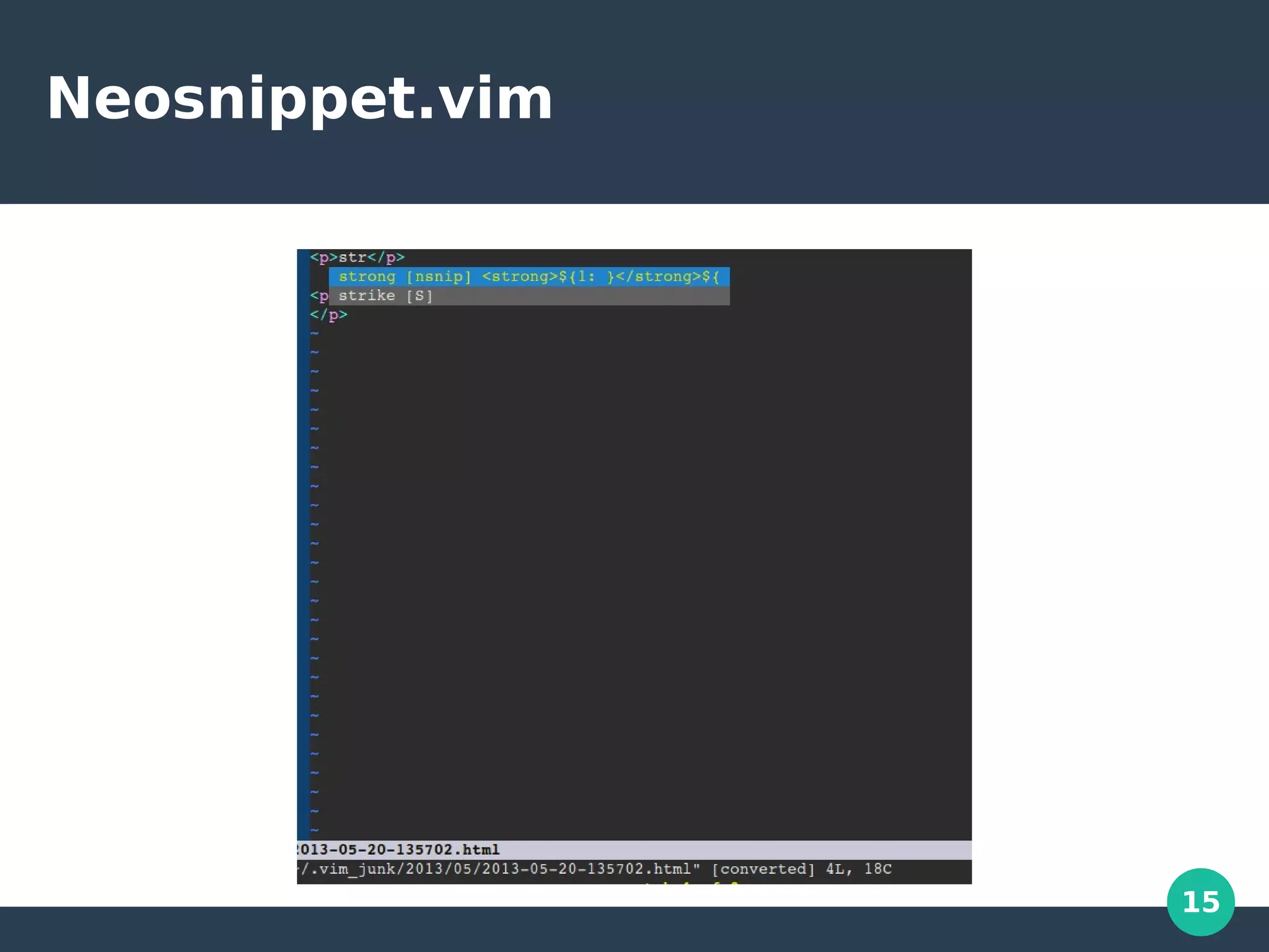 15
Neosnippet.vim
 