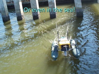 Or even in the sea!Or even in the sea!
 