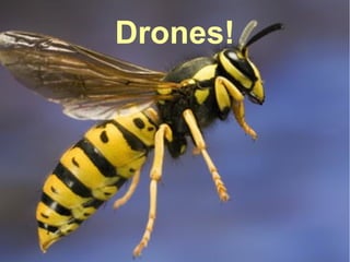 Future of Drones
Mohammad Tawfik
#WikiCourses
http://WikiCourses.WikiSpaces.com
Drones!
 