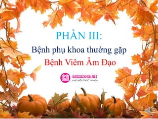 PHẦN III:
Bệnh phụ khoa thường gặp
Bệnh Viêm Âm Đạo
 