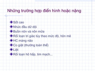 Những trường hợp điển hình hoặc nặng
Sốt cao
Nhức đầu dữ dội
Buồn nôn và nôn mửa
Rối loạn tri giác tùy theo mức độ, hôn mê
HC màng não
Co giật (thường toàn thể)
Liệt
Rối loạn hô hấp, tim mạch...
 
