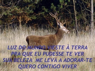 LUZ DO MUNDO VIESTE À TERRA PRA QUE EU PUDESSE TE VER SUA BELEZA ME LEVA A ADORAR-TE QUERO CONTIGO VIVER