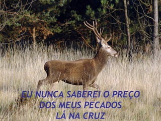 EU NUNCA SABEREI O PREÇO DOS MEUS PECADOS LÁ NA CRUZ