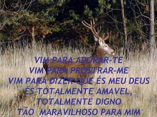 VIM PARA ADORAR-TE VIM PARA PROSTRAR-ME VIM PARA DIZER QUE ÉS MEU DEUS ÉS TOTALMENTE AMAVEL, TOTALMENTE DIGNO TÃO  MARAVILHOSO PARA MIM 