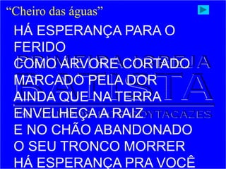 “Cheiro das águas”
HÁ ESPERANÇA PARA O
FERIDO
COMO ÁRVORE CORTADO
MARCADO PELA DOR
AINDA QUE NA TERRA
ENVELHEÇA A RAIZ
E NO CHÃO ABANDONADO
O SEU TRONCO MORRER
HÁ ESPERANÇA PRA VOCÊ
 