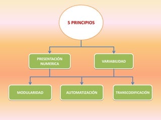 5 PRINCIPIOS PRESENTACIÓN NUMERICAVARIABILIDADMODULARIDADAUTOMATIZACIÓNTRANSCODIFICACIÓN