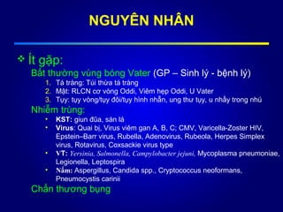 NGUYÊN NHÂN
 Ít gặp:
Bất thường vùng bóng Vater (GP – Sinh lý - bệnh lý)
1. Tá tràng: Túi thừa tá tràng
2. Mật: RLCN cơ vòng Oddi, Viêm hẹp Oddi, U Vater
3. Tụy: tụy vòng/tụy đôi/tụy hình nhẫn, ung thư tụy, u nhầy trong nhú
Nhiễm trùng:
• KST: giun đũa, sán lá
• Virus: Quai bị, Virus viêm gan A, B, C; CMV, Varicella-Zoster HIV,
Epstein–Barr virus, Rubella, Adenovirus, Rubeola, Herpes Simplex
virus, Rotavirus, Coxsackie virus type
• VT: Yersinia, Salmonella, Campylobacter jejuni, Mycoplasma pneumoniae,
Legionella, Leptospira
• Nấm: Aspergillus, Candida spp., Cryptococcus neoformans,
Pneumocystis carinii
Chấn thương bụng
 