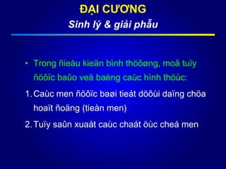• Trong ñieàu kieän bình thöôøng, moâ tuïy
ñöôïc baûo veä baèng caùc hình thöùc:
1.Caùc men ñöôïc baøi tieát döôùi daïng chöa
hoaït ñoäng (tieàn men)
2.Tuïy saûn xuaát caùc chaát öùc cheá men
ĐẠI CƯƠNG
Sinh lý & giải phẫu
 