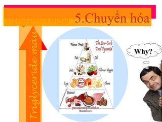>1000mg/dL(11 mol/L) Triglyceride máu Tăng calci máu 5.Chuyển hóa Why? 