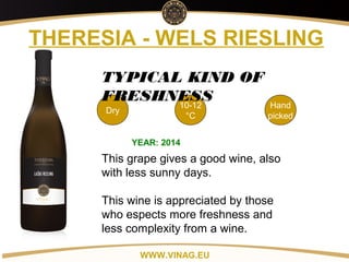 Copyright: Alex Vink
THERESIA - WELS RIESLING
Dry
10-12
°C
Hand
picked
TYPICAL KIND OF
FRESHNESS
YEAR: 2014
This grape gives a good wine, also
with less sunny days.
This wine is appreciated by those
who espects more freshness and
less complexity from a wine.
WWW.VINAG.EU
 