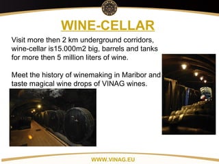 Copyright: Alex Vink
WINE-CELLAR
Visit more then 2 km underground corridors,
wine-cellar is15.000m2 big, barrels and tanks
for more then 5 million liters of wine.
Meet the history of winemaking in Maribor and
taste magical wine drops of VINAG wines.
WWW.VINAG.EU
 