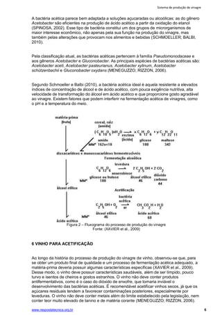 Sistema de produção de vinagre
www.respostatecnica.org.br 6
A bactéria acética parece bem adaptada a soluções açucaradas ou alcoólicas: as do gênero
Acetobacter são eficientes na produção de ácido acético a partir da oxidação do etanol
(SPINOSA, 2002). Esse tipo de bactéria constitui um dos grupos de microrganismos de
maior interesse econômico, não apenas pela sua função na produção do vinagre, mas
também pelas alterações que provocam nos alimentos e bebidas (SCHMOELLER; BALBI,
2010).
Pela classificação atual, as bactérias acéticas pertencem à família Pseudomonodaceae e
aos gêneros Acetobacter e Gluconobacter. As principais espécies de bactérias acéticas são:
Acetobacter aceti, Acetobacter pasteurianus, Acetobacter xylinum, Acetobacter
schützenbachii e Gluconobacter oxydans (MENEGUZZO; RIZZON, 2006).
Segundo Schmoeller e Balbi (2010), a bactéria acética ideal é aquela resistente a elevados
índices de concentração de álcool e de ácido acético, com pouca exigência nutritiva, alta
velocidade de transformação do álcool em ácido acético e que proporcione gosto agradável
ao vinagre. Existem fatores que podem interferir na fermentação acética de vinagres, como
o pH e a temperatura do meio.
Figura 2 – Fluxograma do processo de produção do vinagre
Fonte: (XAVIER et al., 2009)
6 VINHO PARA ACETIFICAÇÃO
Ao longo da história do processo de produção do vinagre de vinho, observou-se que, para
se obter um produto final de qualidade e um processo de fermentação acética adequado, a
matéria-prima deveria possuir algumas características específicas (XAVIER et al., 2009).
Desse modo, o vinho deve possuir características saudáveis, além de ser límpido, pouco
turvo e isentos de cheiros e gostos estranhos. O vinho não deve conter produtos
antifermentativos, como é o caso do dióxido de enxofre, que tornaria inviável o
desenvolvimento das bactérias acéticas. É recomendável acetificar vinhos secos, já que os
açúcares residuais tendem a favorecer contaminações posteriores, especialmente por
leveduras. O vinho não deve conter metais além do limite estabelecido pela legislação, nem
conter teor muito elevado de tanino e de matéria corante (MENEGUZZO; RIZZON, 2006).
 