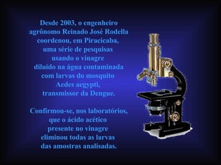 Desde 2003, o engenheiro agrônomo Reinado José Rodella coordenou, em Piracicaba,  uma série de pesquisas  usando o vinagre  diluído na água contaminada com larvas do mosquito  Aedes aegypti,  transmissor da Dengue. Confirmou-se, nos laboratórios, que o ácido acético  presente no vinagre  eliminou todas as larvas  das amostras analisadas. 