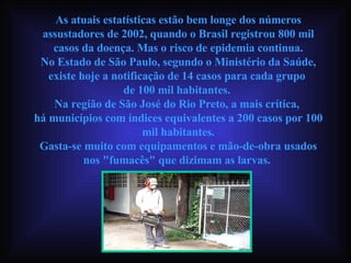 As atuais estatísticas estão bem longe dos números assustadores de 2002, quando o Brasil registrou 800 mil casos da doença. Mas o risco de epidemia continua. No Estado de São Paulo, segundo o Ministério da Saúde, existe hoje a notificação de 14 casos para cada grupo  de 100 mil habitantes.  Na região de São José do Rio Preto, a mais crítica,  há municípios com índices equivalentes a 200 casos por 100 mil habitantes. Gasta-se muito com equipamentos e mão-de-obra usados nos "fumacês" que dizimam as larvas.  