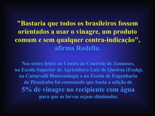 "Bastaria que todos os brasileiros fossem orientados a usar o vinagre, um produto comum e sem qualquer contra-indicação",  afirma Rodella. Nos testes feitos no Centro de Controle de Zoonoses,  na Escola Superior de Agricultura Luiz de Queiroz (Esalq), na Carnevalli Biotecnologia e na Escola de Engenharia  de Piracicaba foi constatado que basta a adição de  5% de vinagre no recipiente com água   para que as larvas sejam eliminadas. 