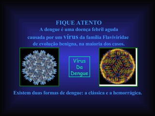 FIQUE ATENTO A dengue é uma doença febril aguda  causada por um  vírus  da família Flaviviridae  de evolução benigna, na maioria dos casos. Existem duas formas de dengue: a clássica e a hemorrágica. Vírus Da Dengue 