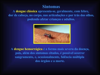 Sintomas A  dengue clássica  apresenta-se, geralmente, com febre,  dor de cabeça, no corpo, nas articulações e por trás dos olhos, podendo afetar crianças e adultos. A  dengue hemorrágica  é a forma mais severa da doença, pois, além dos sintomas citados, é possível ocorrer sangramento, e, ocasionalmente, falência múltipla  dos órgãos e a morte. 