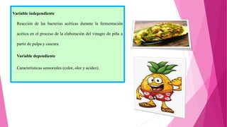 TRABAJO DE INV. DE VINAGRE DE PIÑA .pptx