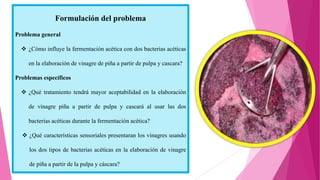 TRABAJO DE INV. DE VINAGRE DE PIÑA .pptx