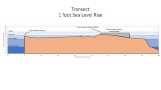 Transect
1 foot Sea Level Rise
 