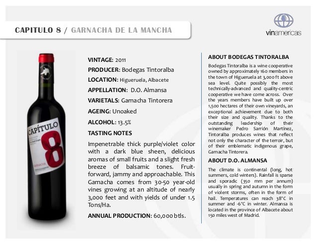 VINAMERICAS RETAIL PORTFOLIO