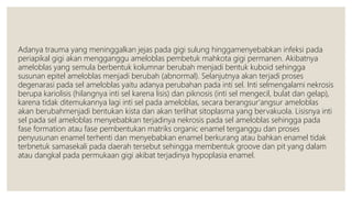 Adanya trauma yang meninggalkan jejas pada gigi sulung hinggamenyebabkan infeksi pada
periapikal gigi akan mengganggu ameloblas pembetuk mahkota gigi permanen. Akibatnya
ameloblas yang semula berbentuk kolumnar berubah menjadi bentuk kuboid sehingga
susunan epitel ameloblas menjadi berubah (abnormal). Selanjutnya akan terjadi proses
degenarasi pada sel ameloblas yaitu adanya perubahan pada inti sel. Inti selmengalami nekrosis
berupa kariolisis (hilangnya inti sel karena lisis) dan piknosis (inti sel mengecil, bulat dan gelap),
karena tidak ditemukannya lagi inti sel pada ameloblas, secara berangsur'angsur ameloblas
akan berubahmenjadi bentukan kista dan akan terlihat sitoplasma yang bervakuola. Lisisnya inti
sel pada sel ameloblas menyebabkan terjadinya nekrosis pada sel ameloblas sehingga pada
fase formation atau fase pembentukan matriks organic enamel terganggu dan proses
penyusunan enamel terhenti dan menyebabkan enamel berkurang atau bahkan enamel tidak
terbnetuk samasekali pada daerah tersebut sehingga membentuk groove dan pit yang dalam
atau dangkal pada permukaan gigi akibat terjadinya hypoplasia enamel.
 