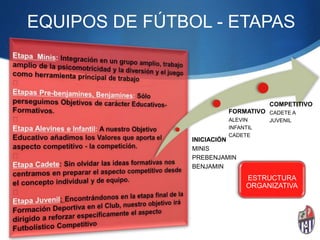 EQUIPOS DE FÚTBOL - ETAPAS
INICIACIÓN
MINIS
PREBENJAMIN
BENJAMIN
FORMATIVO
ALEVIN
INFANTIL
CADETE
COMPETITIVO
CADETE A
JUVENIL
ESTRUCTURA
ORGANIZATIVA
 