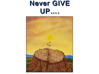 Never GIVENever GIVE
UP….UP….
 