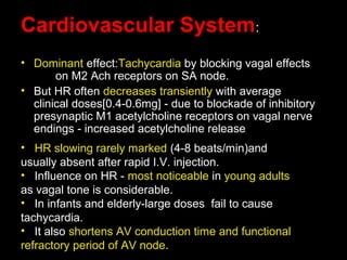 Cardiovascular System:
• Dominant effect:Tachycardia by blocking vagal effects
on M2 Ach receptors on SA node.
• But HR often decreases transiently with average
clinical doses[0.4-0.6mg] - due to blockade of inhibitory
presynaptic M1 acetylcholine receptors on vagal nerve
endings - increased acetylcholine release
• HR slowing rarely marked (4-8 beats/min)and
usually absent after rapid I.V. injection.
• Influence on HR - most noticeable in young adults
as vagal tone is considerable.
• In infants and elderly-large doses fail to cause
tachycardia.
• It also shortens AV conduction time and functional
refractory period of AV node.
 