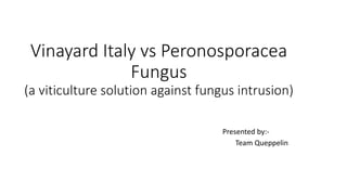 Vinayard Italy vs Peronosporacea
Fungus
(a viticulture solution against fungus intrusion)
Presented by:-
Team Queppelin
 