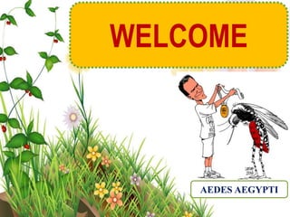 1
WELCOME
AEDES AEGYPTI
 