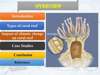 OVERVIEW
Introduction
Types of coral reef
Case Studies
Conclusion
References
Impact of climate change
on coral reef
 