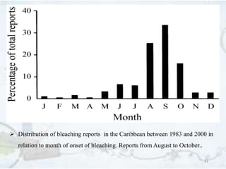 41
 Distribution of bleaching reports in the Caribbean between 1983 and 2000 in
relation to month of onset of bleaching. Reports from August to October..
 