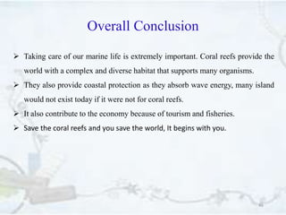 Overall Conclusion
46
 Taking care of our marine life is extremely important. Coral reefs provide the
world with a complex and diverse habitat that supports many organisms.
 They also provide coastal protection as they absorb wave energy, many island
would not exist today if it were not for coral reefs.
 It also contribute to the economy because of tourism and fisheries.
 Save the coral reefs and you save the world, It begins with you.
 