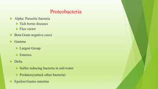 Proteobacteria
 Alpha: Parasitic bacteria
 Tick borne diseases
 Flea vector
 Beta:Gram negative cocci
 Gamma
 Largest Group
 Enterics
 Delta
 Sulfur reducing bacteria in soli/water
 Predatory(attack other bacteria)
 Epsilon:Gastro intertine
 