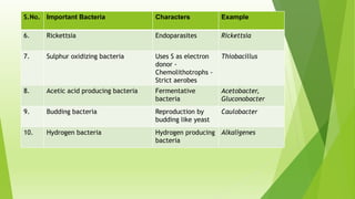 S.No. Important Bacteria Characters Example
6. Rickettsia Endoparasites Rickettsia
7. Sulphur oxidizing bacteria Uses S as electron
donor -
Chemolithotrophs -
Strict aerobes
Thiobacillus
8. Acetic acid producing bacteria Fermentative
bacteria
Acetobacter,
Gluconobacter
9. Budding bacteria Reproduction by
budding like yeast
Caulobacter
10. Hydrogen bacteria Hydrogen producing
bacteria
Alkaligenes
 