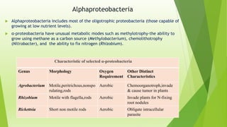 Alphaproteobacteria
 Alphaproteobacteria includes most of the oligotrophic proteobacteria (those capable of
growing at low nutrient levels).
 α-proteobacteria have unusual metabolic modes such as methylotrophy-the ability to
grow using methane as a carbon source (Methylobacterium), chemolithotrophy
(Nitrobacter), and the ability to fix nitrogen (Rhizobium).
Characteristic of selected α-proteobacteria
Genus Morphology Oxygen
Requirement
Other Distinct
Characteristics
Agrobacterium Motile,peritrichous,nonspo
rulating,rods
Aerobic Chemoorganotroph,invade
& cause tumor in plants
Rhizobium Motile with flagella,rods Aerobic Invade plants for N-fixing
root nodules
Rickettsia Short non motile rods Aerobic Obligate intracellular
parasite
 