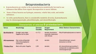 Betaproteobacteria
 β-proteobacteria are similar to the a-proteobacteria metabolically but tend to use
substances that diﬀuse from organic decomposition in anoxic habitats.
 Some of these bacteria use hydrogen, ammonia, volatile fatty acids, and similar
substances.
 As with a-proteobacteria, there is considerable metabolic diversity; β-proteobacteria
may be chemoorganotrophs, photolithotrophs, and chemolithotrophs.
Characteristic of selected β-proteobacteria
Genus Morphology Genome
Size(Mb)
Oxygen
Requirement
Other Distinct Characteristics
Burkholderia Straight rods,single
flagella/tuft at pole
4.1-7.2 Aerobic,facultative
anaerobe respiration
with Nitrate
Poly-β-hydroxybutyrate as reserve
Nitrosomonas Size varies,ellipsoidal
cells,intacytoplasmic
membrane
2.8 Aerobic Chemolithotropic convert
Ammonia to nitrite
Thiobacillus Rods with polar flagella 2.09 Aerobic All chemolithotropic(oxidize S
compounds to sulphates),some
chemoorganotropic
 