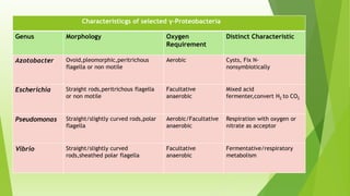 Characteristicgs of selected γ-Proteobacteria
Genus Morphology Oxygen
Requirement
Distinct Characteristic
Azotobacter Ovoid,pleomorphic,peritrichous
flagella or non motile
Aerobic Cysts, Fix N-
nonsymbiotically
Escherichia Straight rods,peritrichous flagella
or non motile
Facultative
anaerobic
Mixed acid
fermenter,convert H2 to CO2
Pseudomonas Straight/slightly curved rods,polar
flagella
Aerobic/Facultative
anaerobic
Respiration with oxygen or
nitrate as acceptor
Vibrio Straight/slightly curved
rods,sheathed polar flagella
Facultative
anaerobic
Fermentative/respiratory
metabolism
 